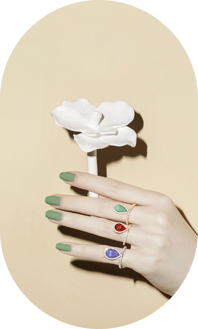 Hand with three colored rings  holding a white flower