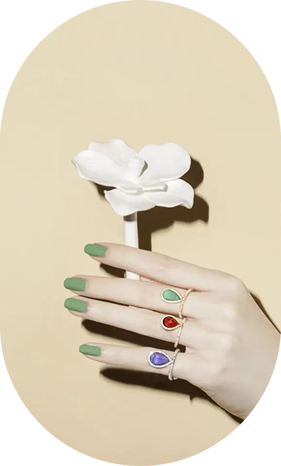 Hand with three colored rings holding a white flower